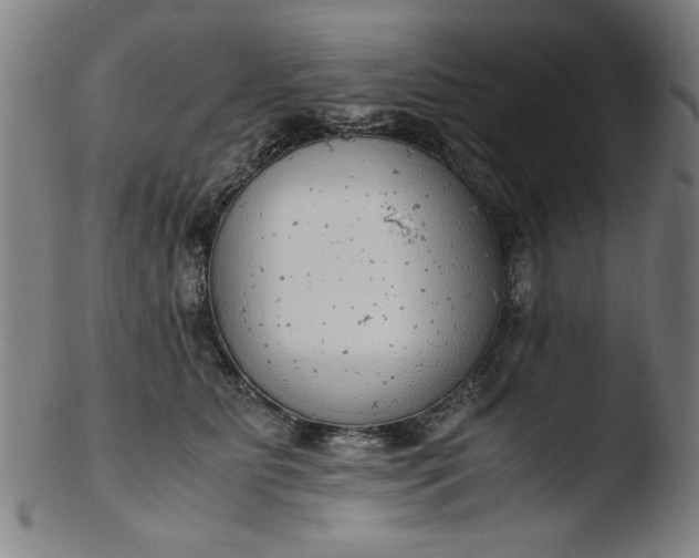 X0000103410515200809261646