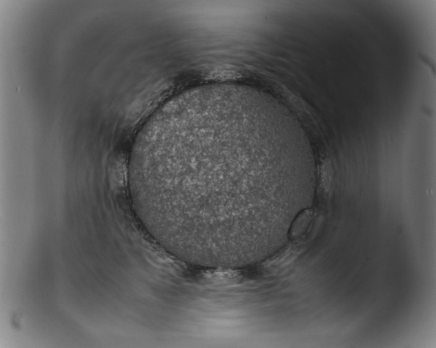 X0000103410517200809261646