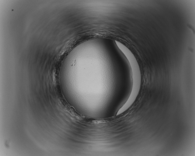 X0000103410520200809261646