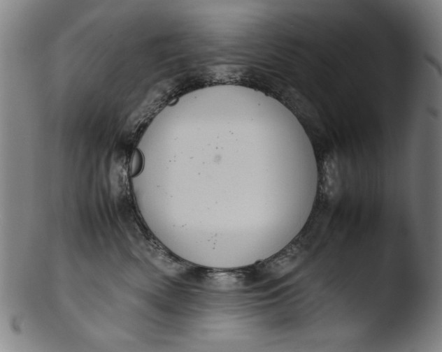 X0000103410522200809261646