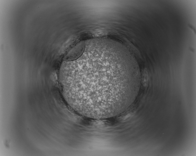 X0000103410523200809261646