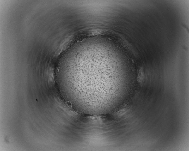 X0000103410524200809261646