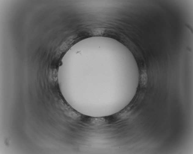 X0000103410525200809261646