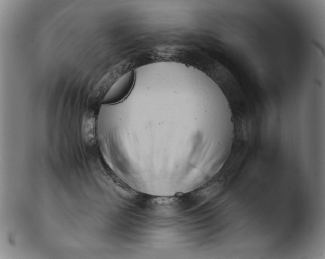 X0000103410526200809261646