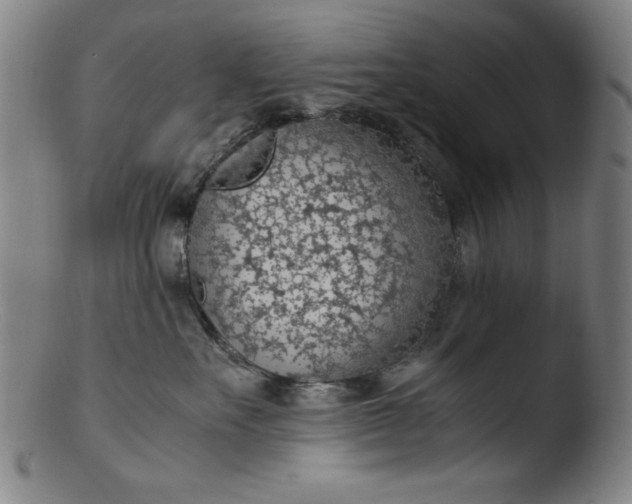 X0000103410527200809261646