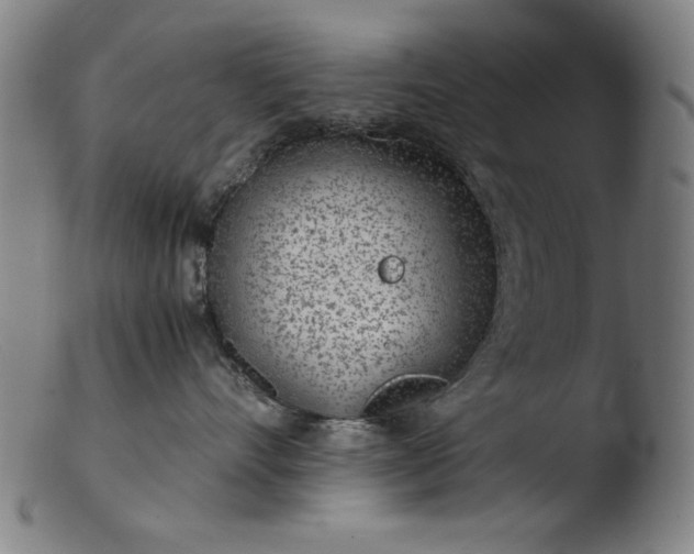 X0000103410528200809261646