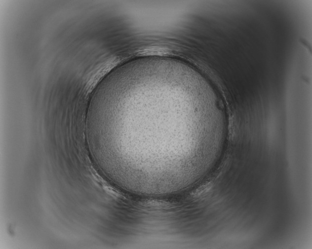 X0000103410529200809261645