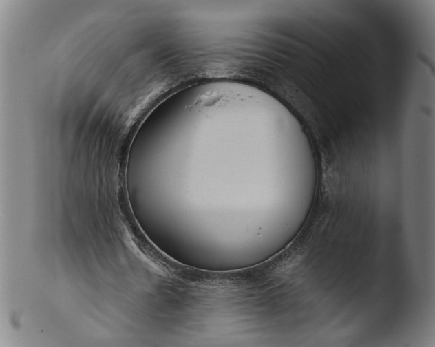 X0000103410530200809261645