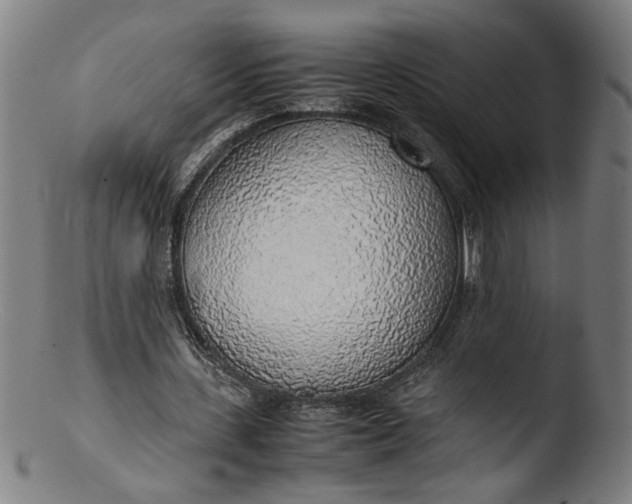 X0000103410531200809261645