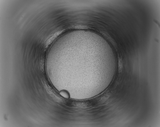 X0000103410533200809261645