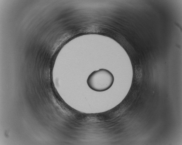 X0000103410534200809261645