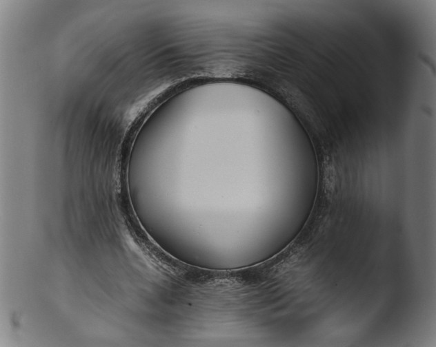 X0000103410536200809261645