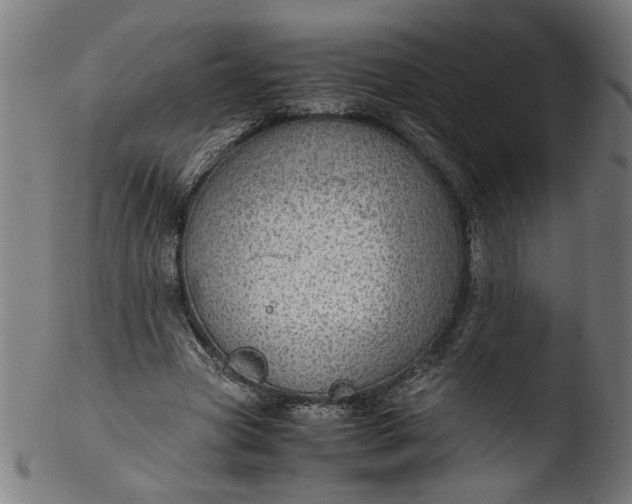 X0000103410537200809261645