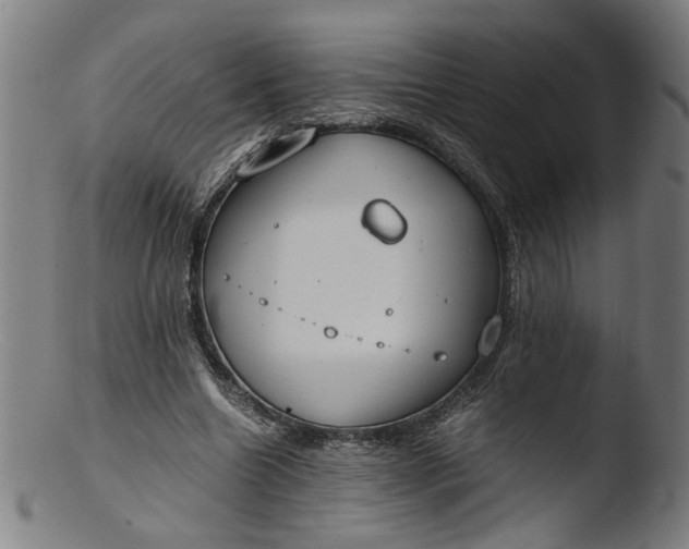 X0000103410538200809261645