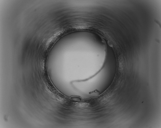 X0000103410539200809261645