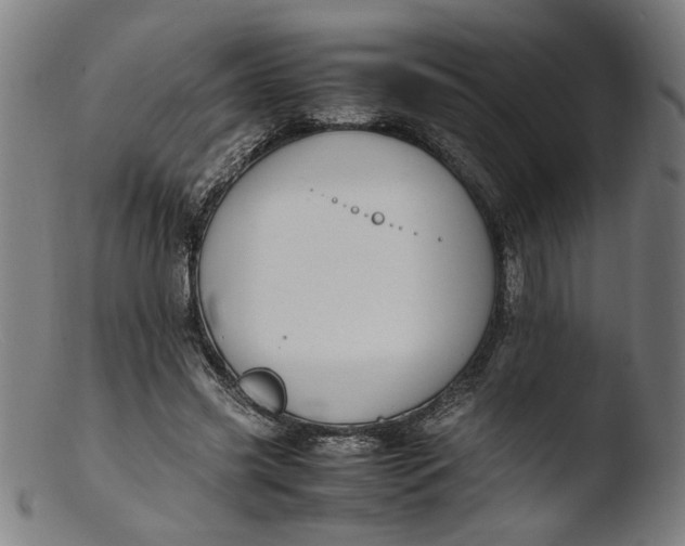 X0000103410541200809261645