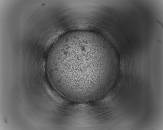 X0000103410542200809261645