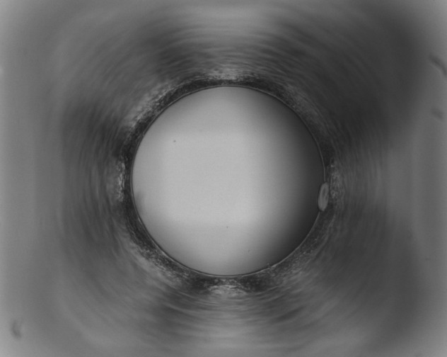 X0000103410544200809261646