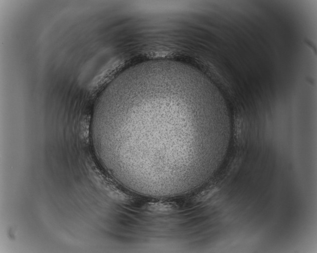 X0000103410545200809261646