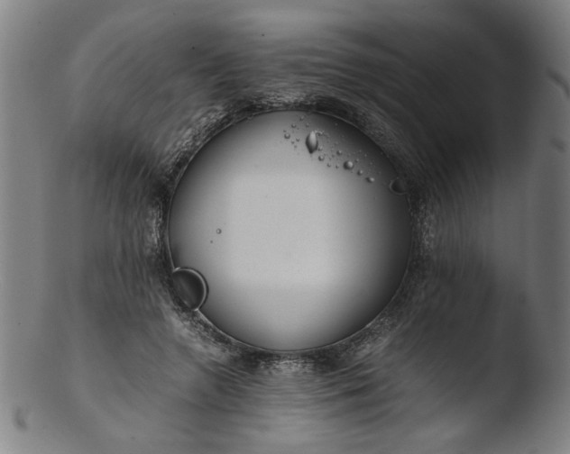 X0000103410546200809261646