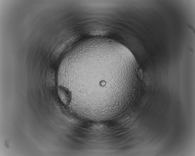 X0000103410547200809261646