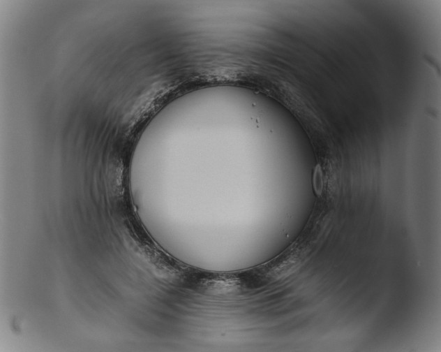 X0000103410548200809261646