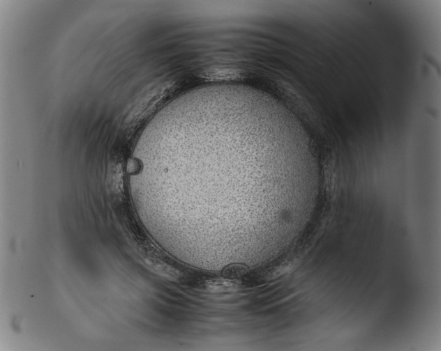 X0000103410549200809261646