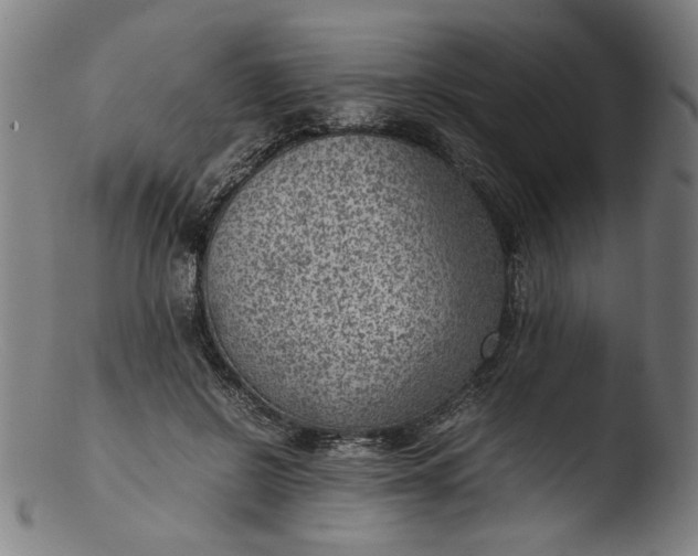 X0000103410550200809261646