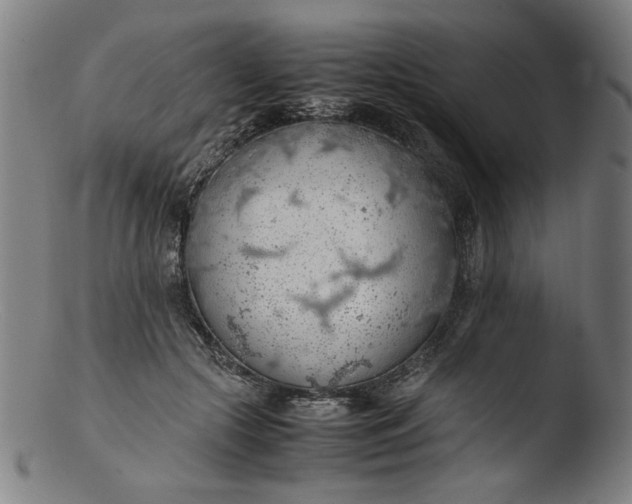 X0000103410553200809261646