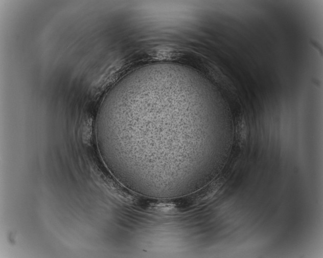 X0000103410554200809261646