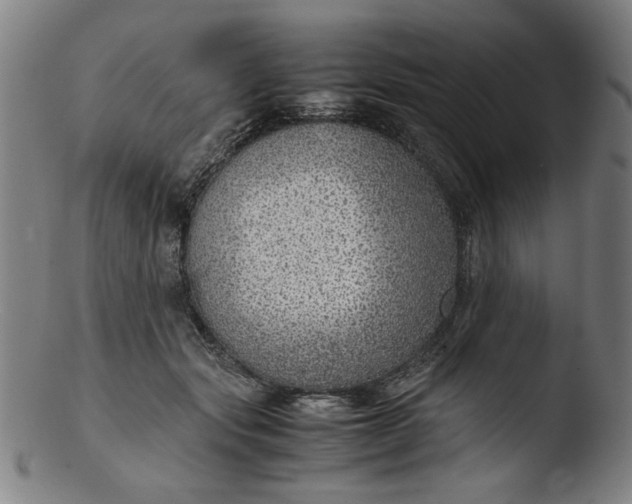 X0000103410557200809261646