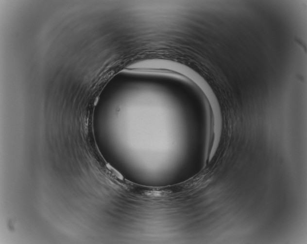 X0000103410558200809261646