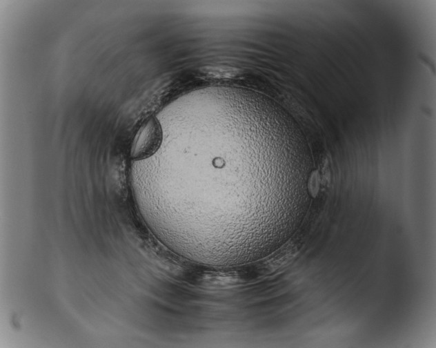 X0000103410559200809261646