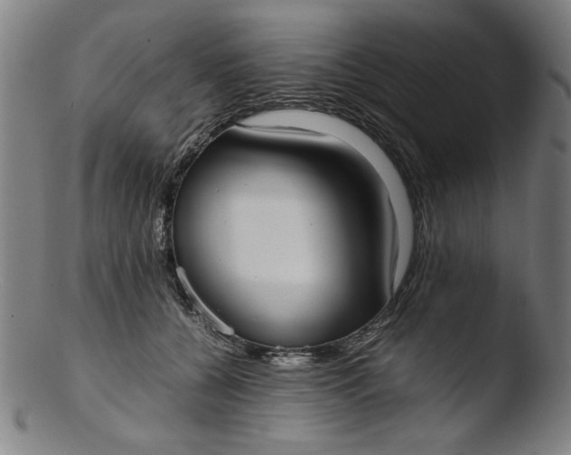 X0000103410560200809261646