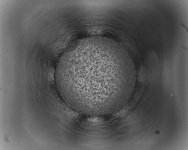 X0000103410561200809261646