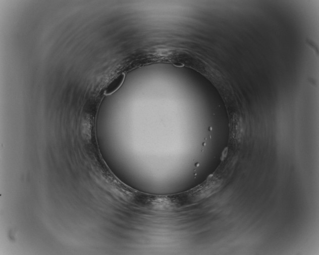 X0000103410562200809261646