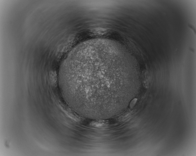 X0000103410563200809261646