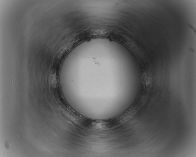 X0000103410564200809261646