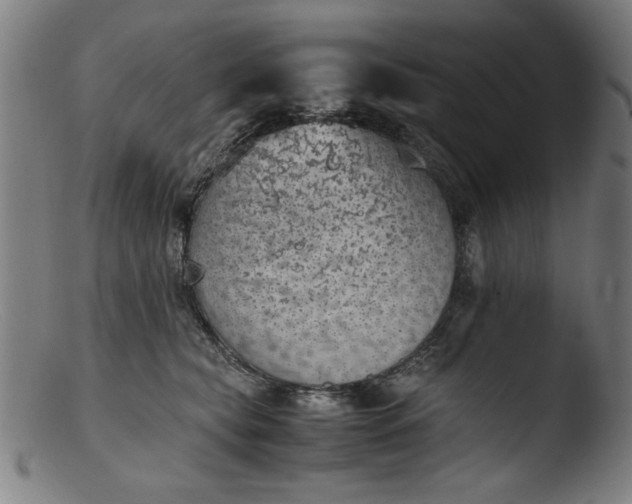 X0000103410565200809261646