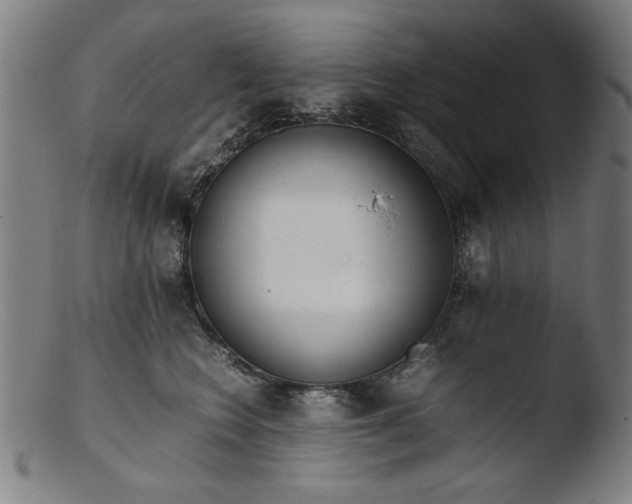 X0000103410566200809261646