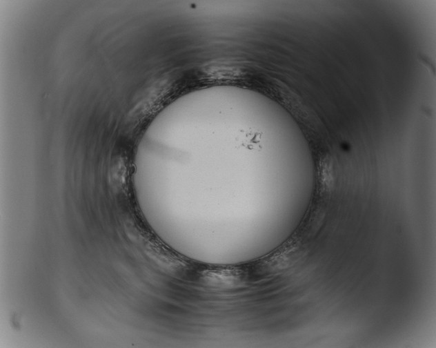 X0000103410567200809261646