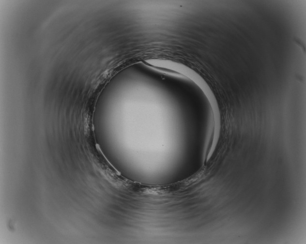 X0000103410568200809261646