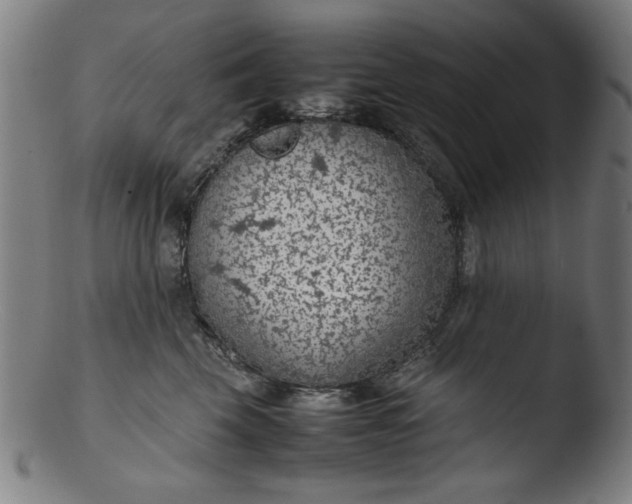 X0000103410569200809261646