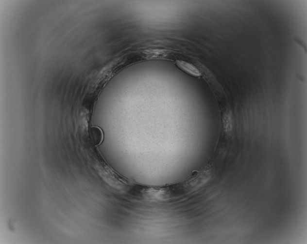 X0000103410570200809261646