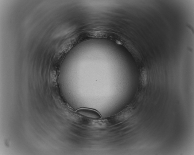 X0000103410571200809261646