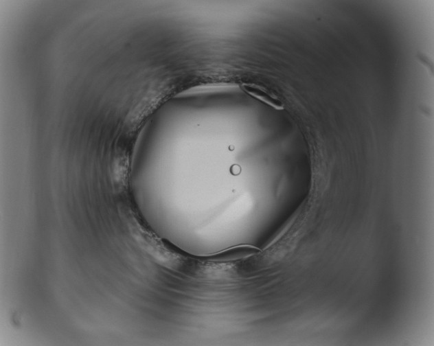 X0000103410576200809261646