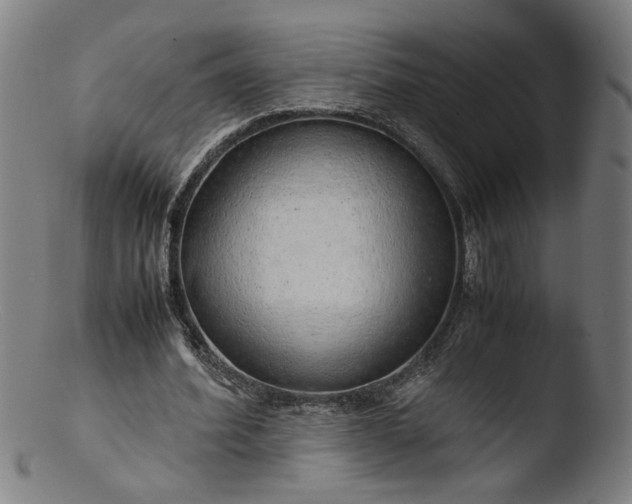 X0000103410580200809261645