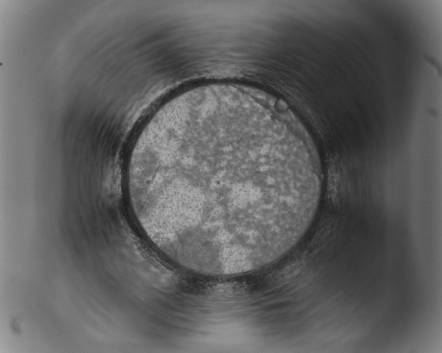 X0000103410584200809261645