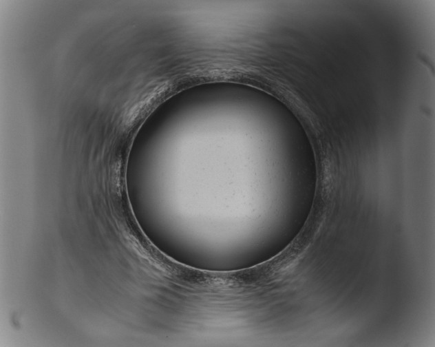 X0000103410585200809261645