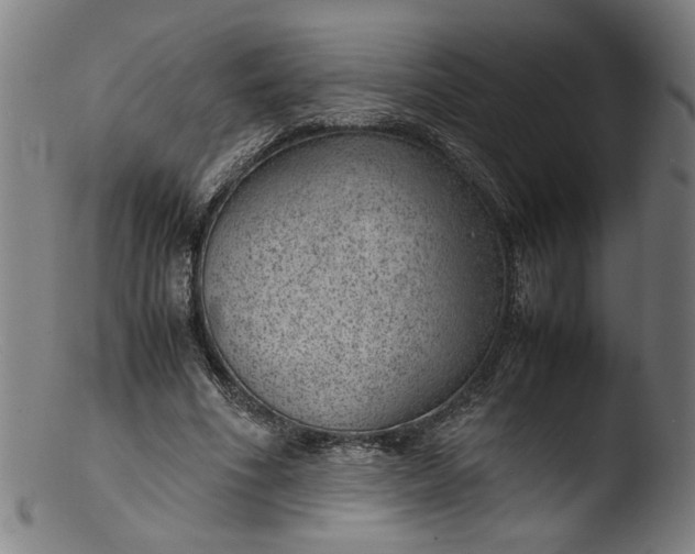 X0000103410586200809261645